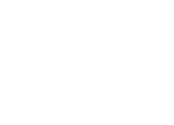 The Fortunate Fox Logo